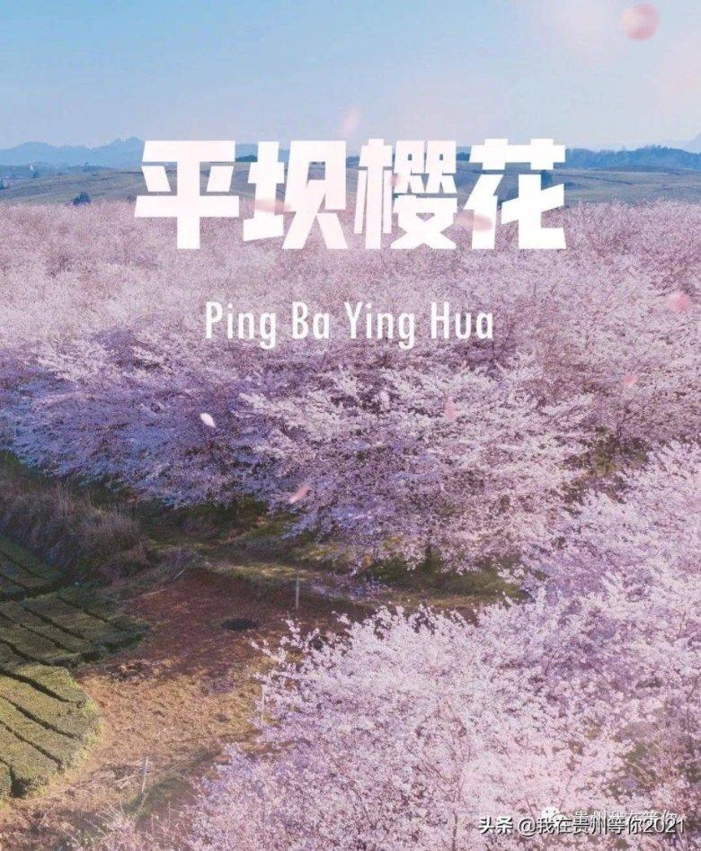 生化危机保护伞小队