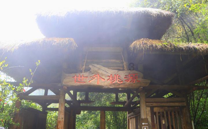 行尸走肉