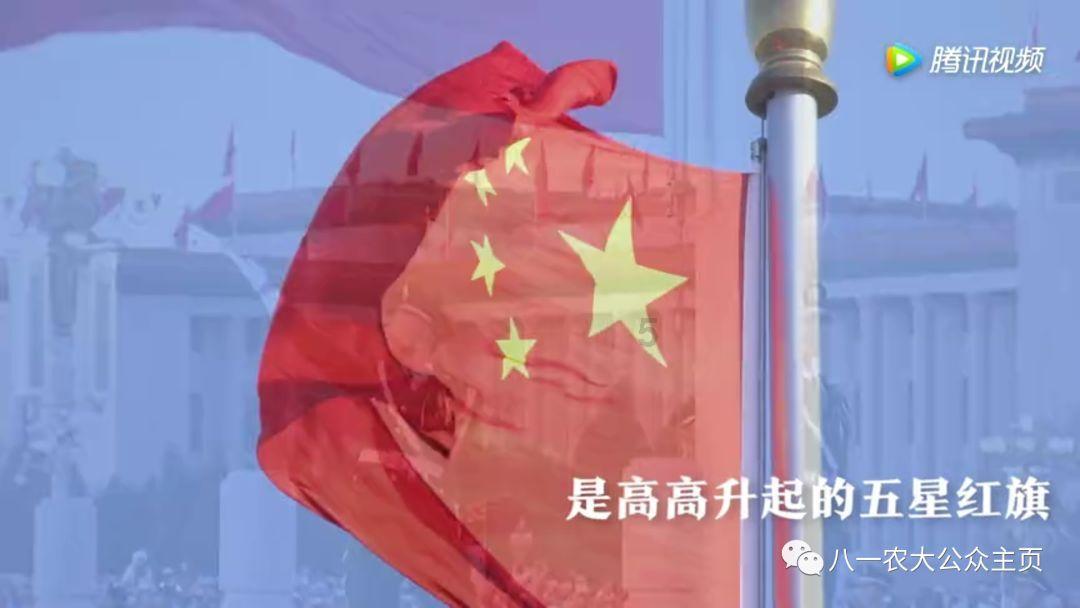 救援受困的萌兔